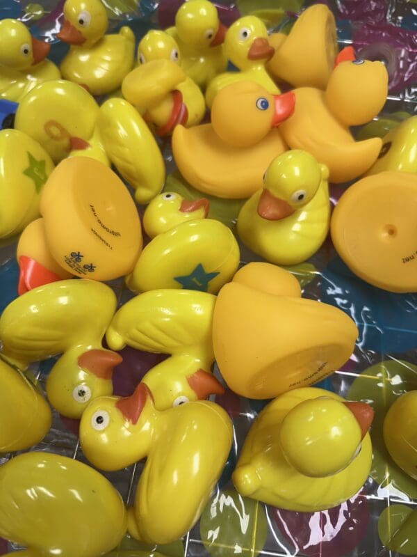 DUCKS FOR PRIZES